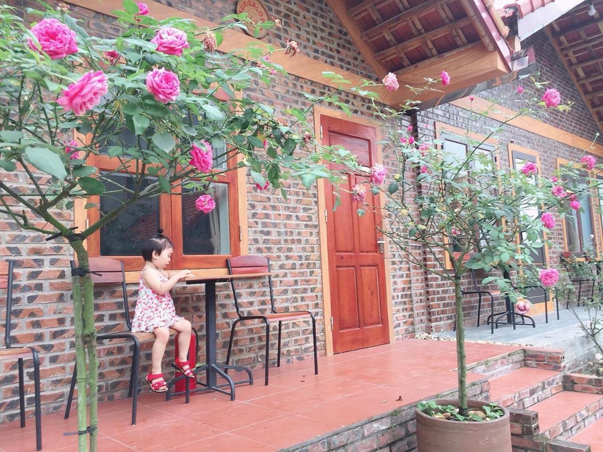 Tam Coc Tropical Homestay Ninh Binh Exterior foto