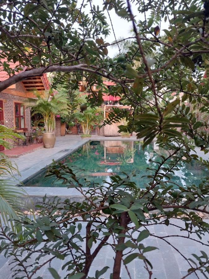 Tam Coc Tropical Homestay Ninh Binh Exterior foto